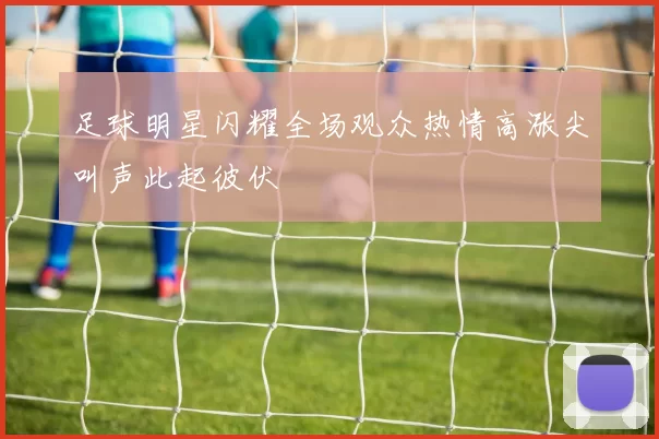足球明星闪耀全场观众热情高涨尖叫声此起彼伏