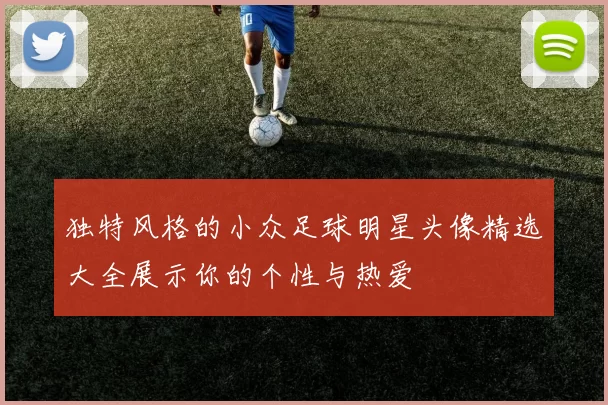 独特风格的小众足球明星头像精选大全展示你的个性与热爱