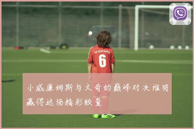 小威廉姆斯与文奇的巅峰对决谁将赢得这场精彩较量