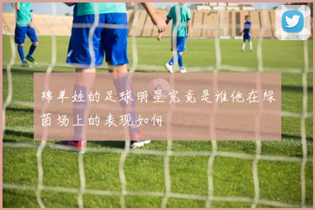 绵羊姓的足球明星究竟是谁他在绿茵场上的表现如何