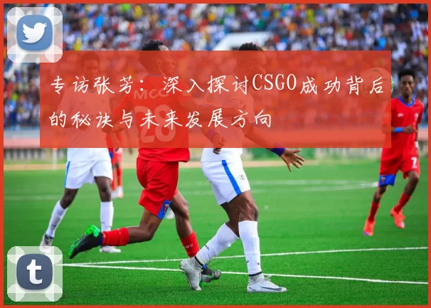 专访张芳：深入探讨CSGO成功背后的秘诀与未来发展方向