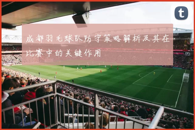 成都羽毛球队防守策略解析及其在比赛中的关键作用