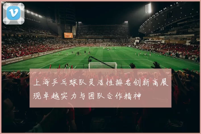 上海乒乓球队灵活性排名创新高展现卓越实力与团队合作精神