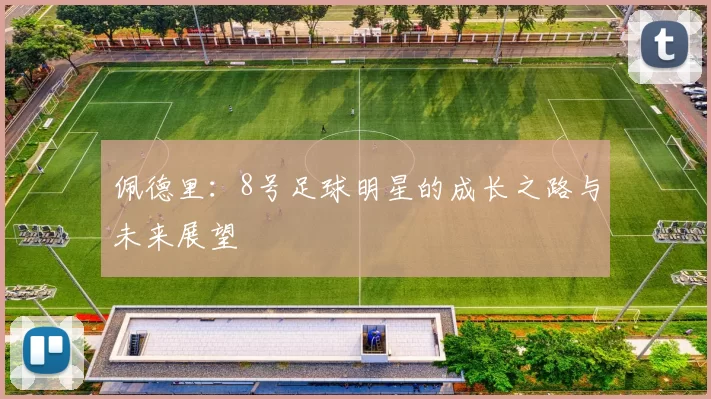 佩德里：8号足球明星的成长之路与未来展望