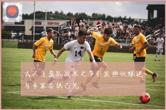 武汉飞盘队战术之争引发热议球迷与专家各执己见