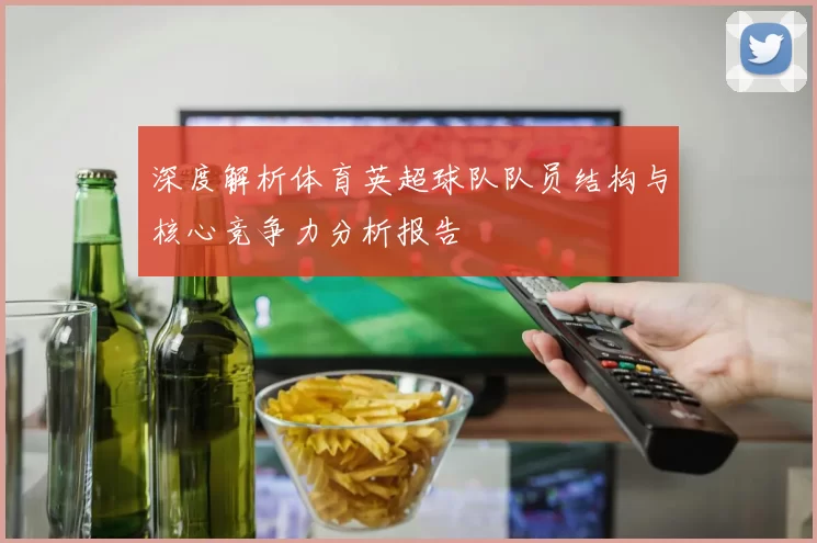 深度解析体育英超球队队员结构与核心竞争力分析报告