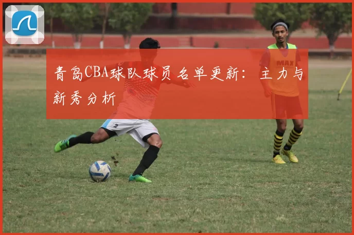 青岛CBA球队球员名单更新：主力与新秀分析