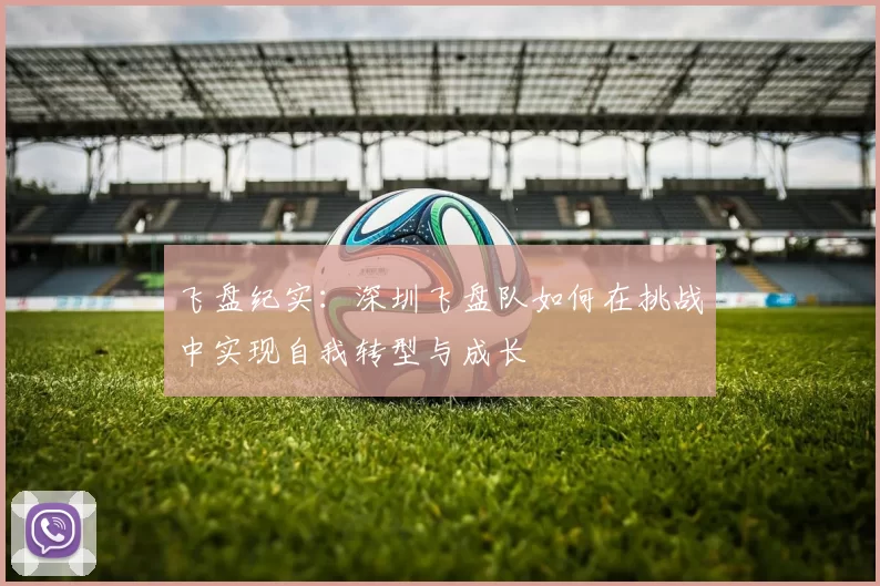 飞盘纪实：深圳飞盘队如何在挑战中实现自我转型与成长
