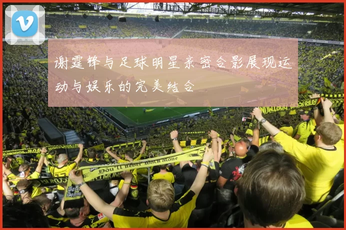 谢霆锋与足球明星亲密合影展现运动与娱乐的完美结合