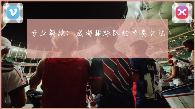 专业解读：成都排球队的节奏打法