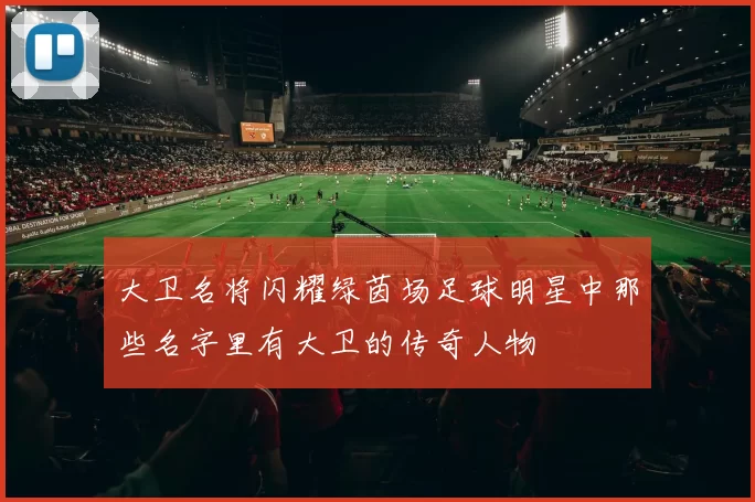 大卫名将闪耀绿茵场足球明星中那些名字里有大卫的传奇人物