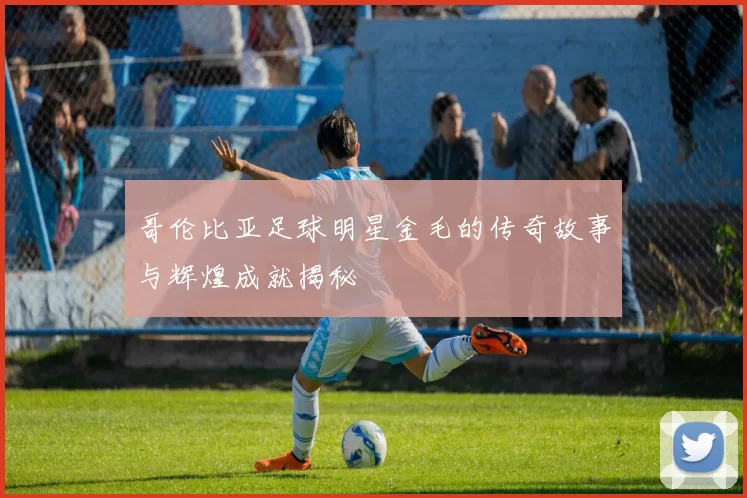 哥伦比亚足球明星金毛的传奇故事与辉煌成就揭秘