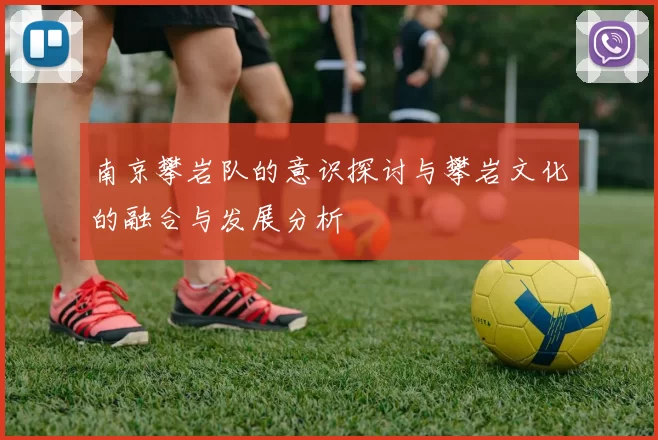 南京攀岩队的意识探讨与攀岩文化的融合与发展分析